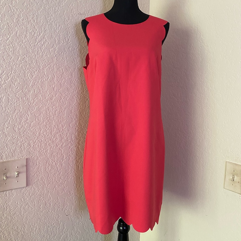 NWT J. Crew Dress Size 12